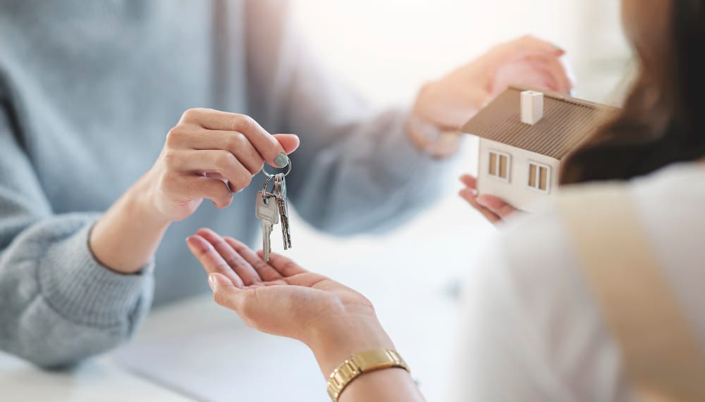 agence immobilière