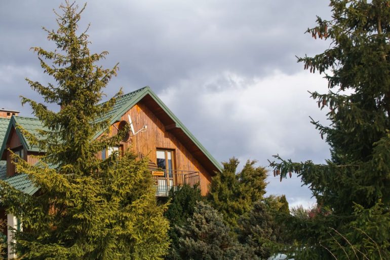 Zoom sur les particularités des maisons en fuste