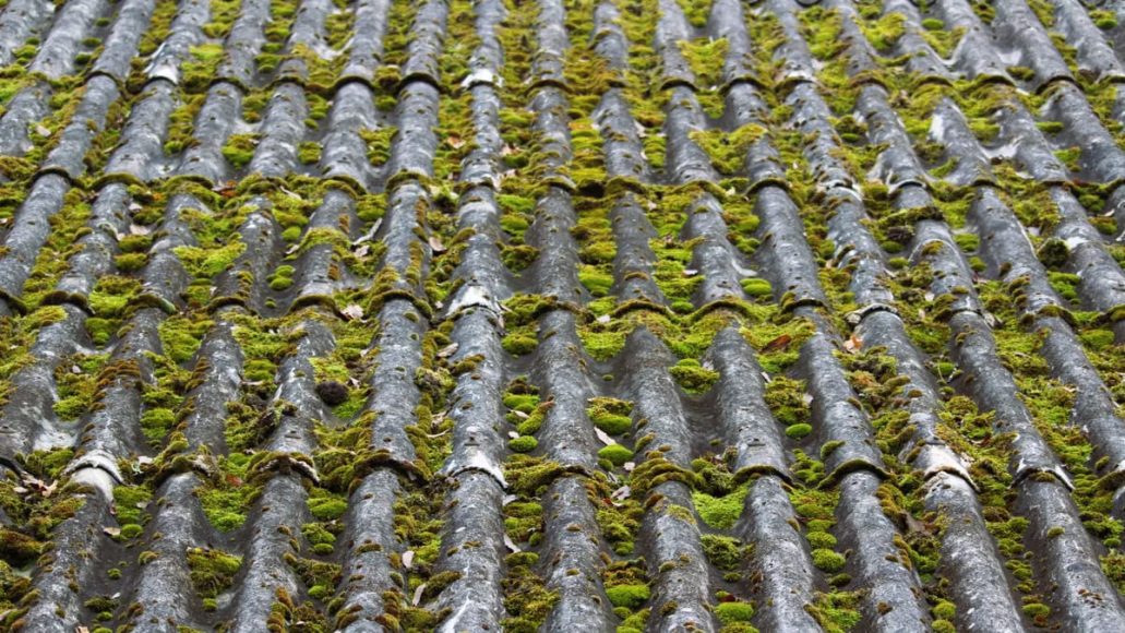 Toiture durable : matériaux et installations écologiques