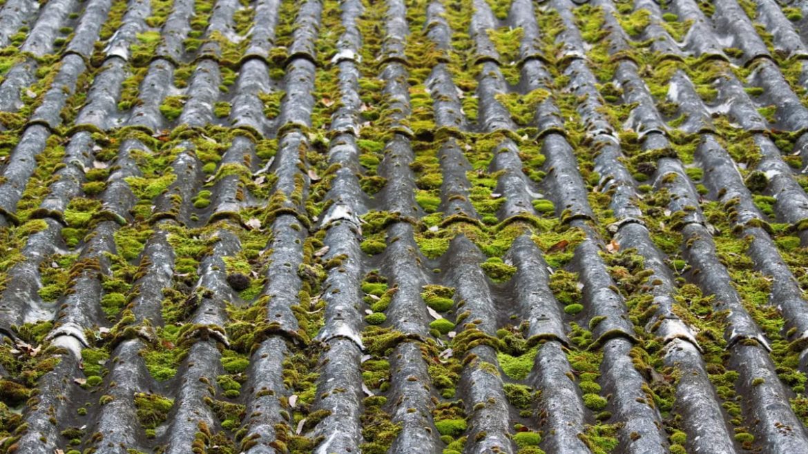 Toiture durable : matériaux et installations écologiques
