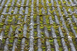 Toiture durable : matériaux et installations écologiques