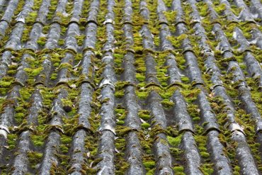 Toiture durable : matériaux et installations écologiques