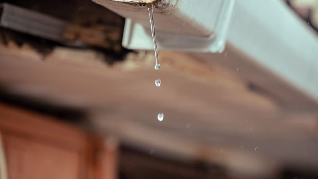 Techniques de récupération d'eau de pluie : guide complet 2026
