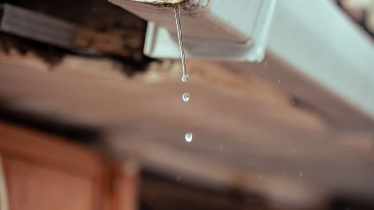 Techniques de récupération d'eau de pluie : guide complet 2026